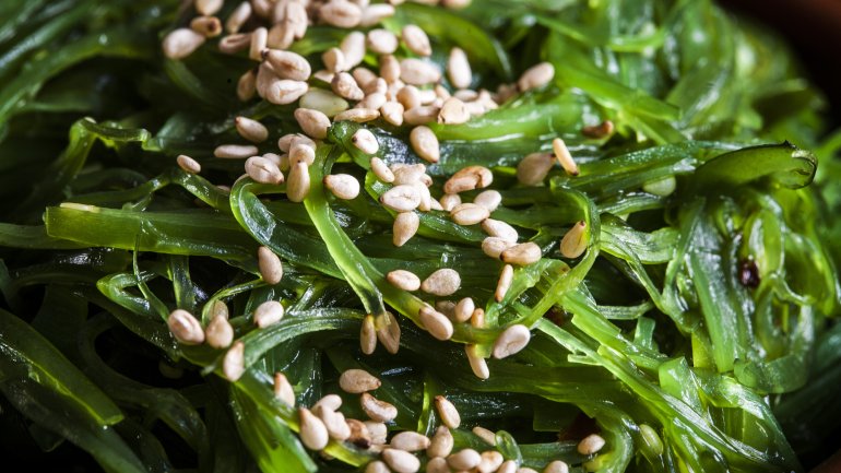 Reichlich Vitamin K in Algen Reichlich Vitamin K in Algen