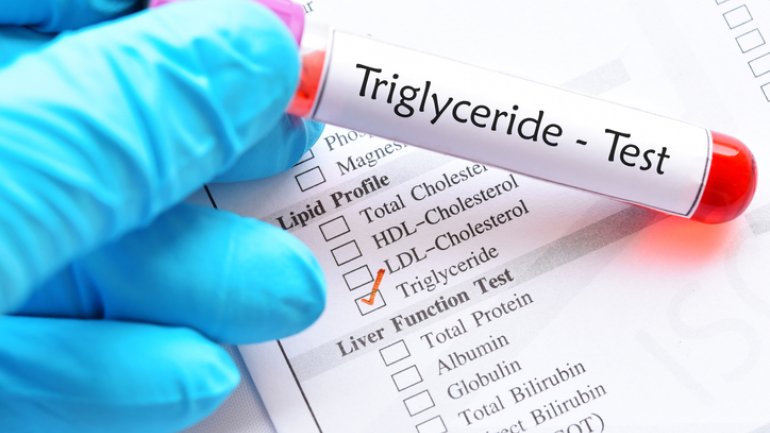 Blutröhrchen und Laborbogen, die für den Triglyceride-Test benötigt werden. 